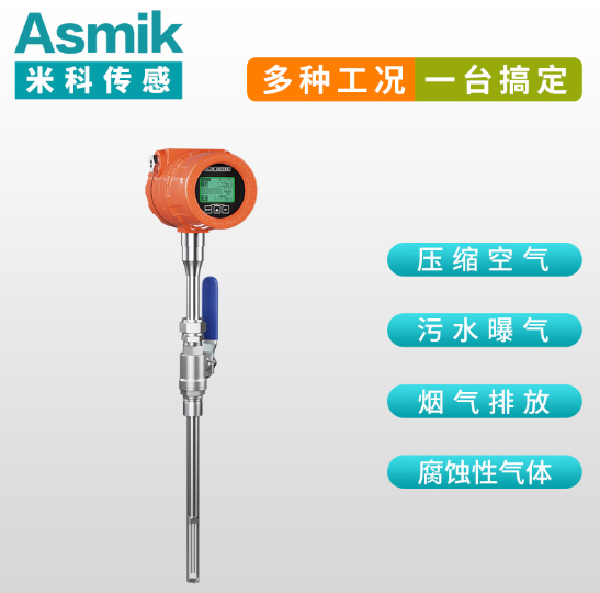 西安插入式熱式氣體質(zhì)量流量計(jì)廠家